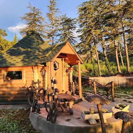 La Chaumiere Magique Des Elfes Et Ses Enigmes Bed & Breakfast Servas  Dış mekan fotoğraf