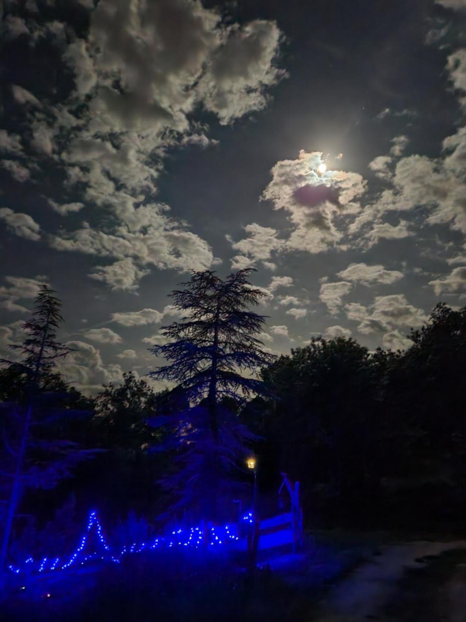 La Chaumiere Magique Des Elfes Et Ses Enigmes Bed & Breakfast Servas  Dış mekan fotoğraf