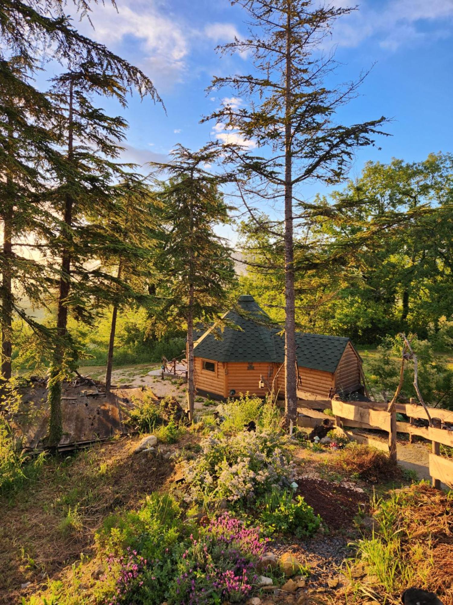 La Chaumiere Magique Des Elfes Et Ses Enigmes Bed & Breakfast Servas  Dış mekan fotoğraf
